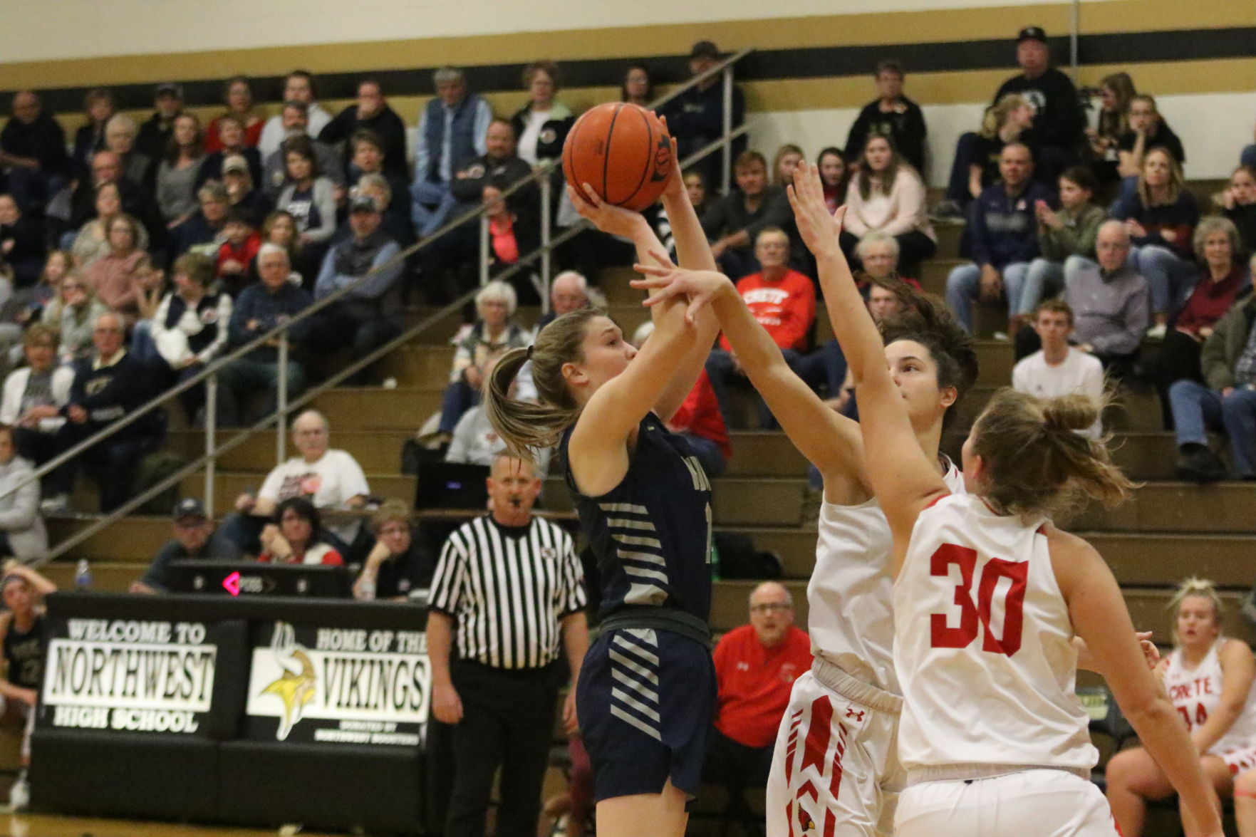 York vs. Crete girls basketball 20.JPG